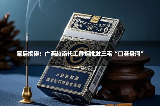 幕后揭秘！广西越南代工香烟批发三毛“口若悬河”